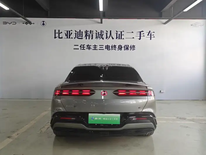 DENZA Z9GT DM 2024 Model 1100 4WD Ultra Edition – фото 4