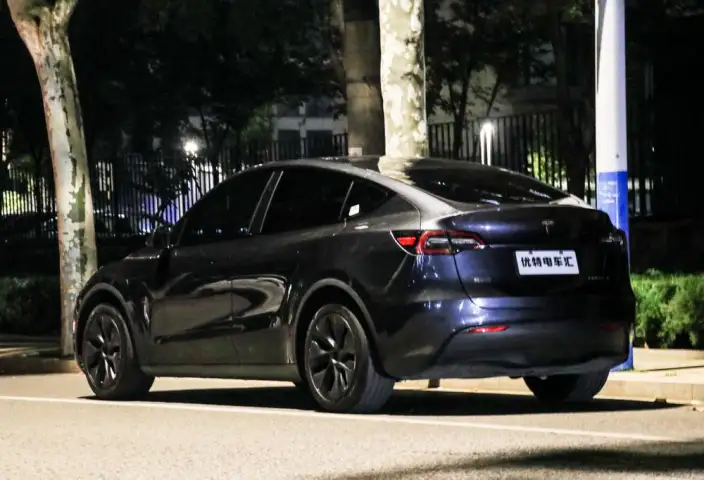 Model Y 2024 Model Rear-wheel drive version – фото 4