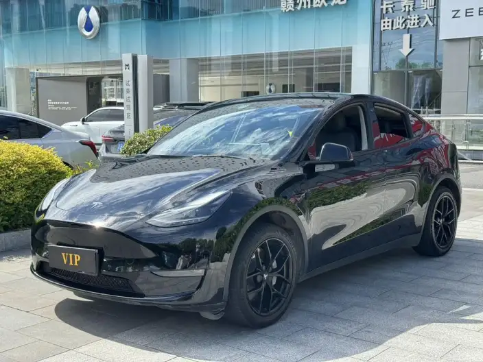 Model Y 2021 Model Facelift Long Battery Life Pro All-wheel drive version – фото 1