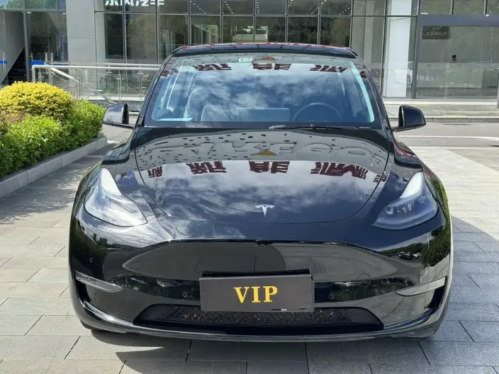 Model Y 2021 Model Facelift Long Battery Life Pro All-wheel drive version – фото 2