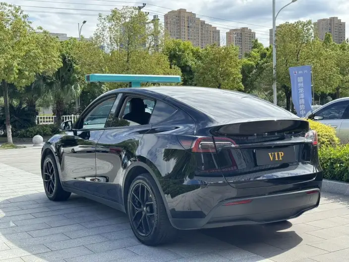 Model Y 2021 Model Facelift Long Battery Life Pro All-wheel drive version – фото 4