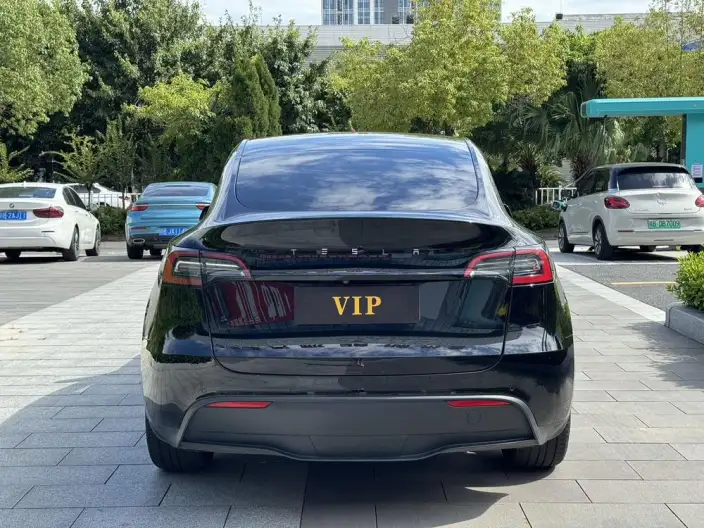 Model Y 2021 Model Facelift Long Battery Life Pro All-wheel drive version – фото 5
