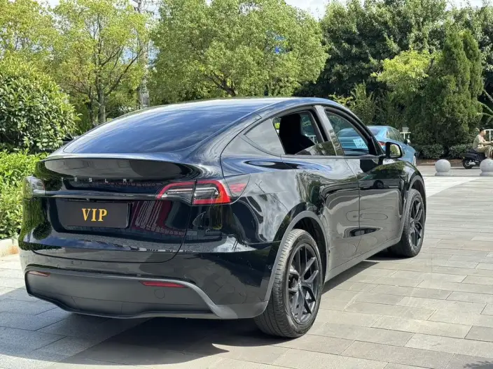 Model Y 2021 Model Facelift Long Battery Life Pro All-wheel drive version – фото 6
