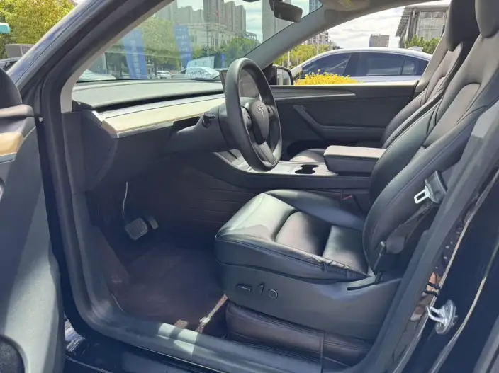 Model Y 2021 Model Facelift Long Battery Life Pro All-wheel drive version – фото 8