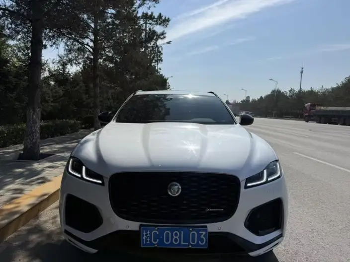 Jaguar F-PACE 2024 Model P250 R-Dynamic S – фото 2