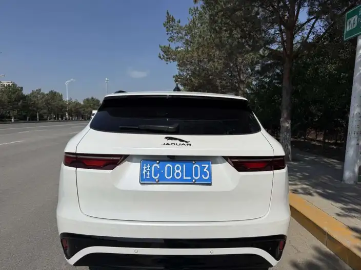 Jaguar F-PACE 2024 Model P250 R-Dynamic S – фото 3