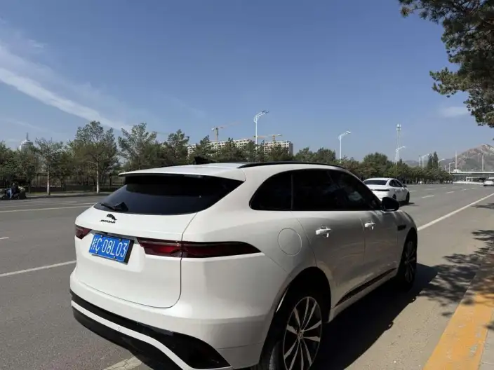 Jaguar F-PACE 2024 Model P250 R-Dynamic S – фото 4