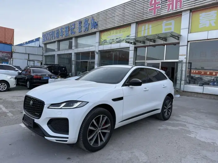 Jaguar F-PACE 2024 Model P250 R-Dynamic S – фото 10