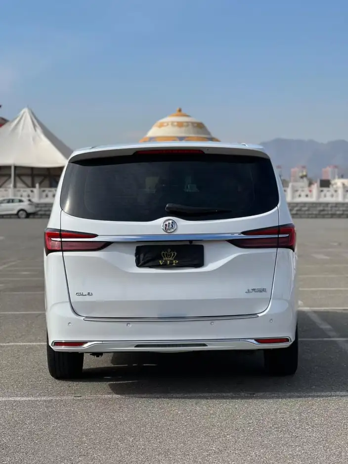 Buick GL8 2023 Model Business class 2.0T Comfort Model – фото 5