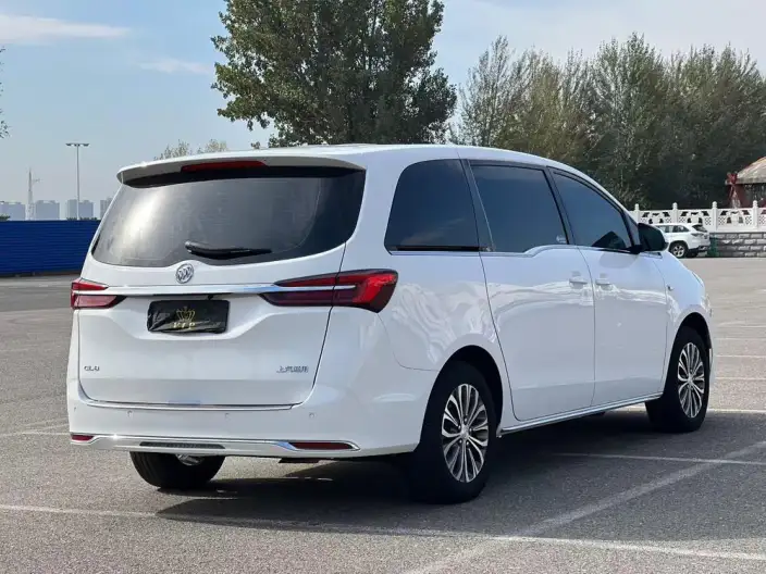 Buick GL8 2023 Model Business class 2.0T Comfort Model – фото 6