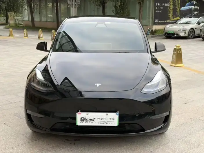 Model Y 2021 Model Standard Battery Life Rear-wheel drive version – фото 2