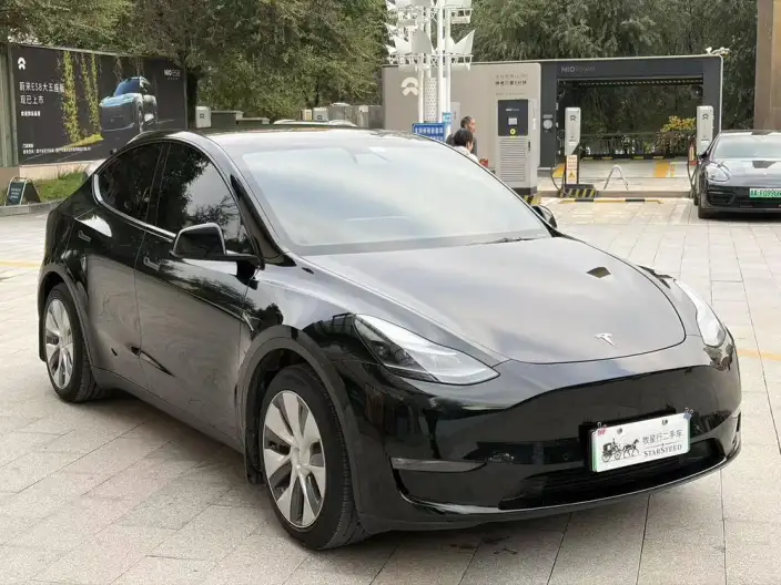 Model Y 2021 Model Standard Battery Life Rear-wheel drive version – фото 3