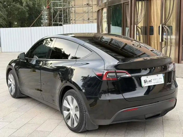 Model Y 2021 Model Standard Battery Life Rear-wheel drive version – фото 4
