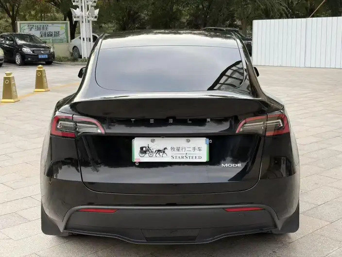Model Y 2021 Model Standard Battery Life Rear-wheel drive version – фото 5