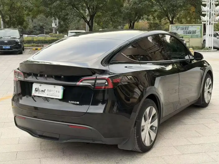 Model Y 2021 Model Standard Battery Life Rear-wheel drive version – фото 6