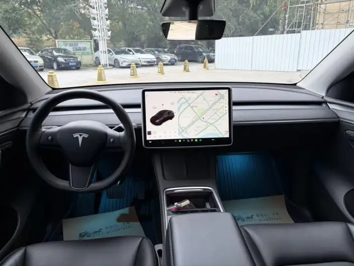 Model Y 2021 Model Standard Battery Life Rear-wheel drive version – фото 7