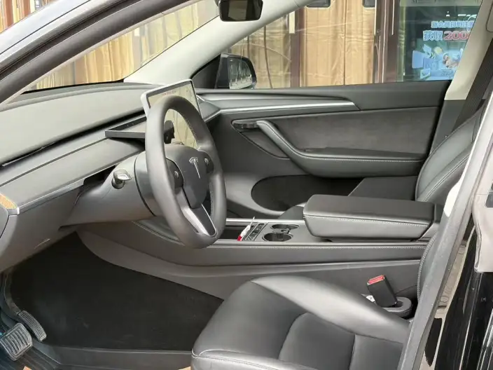 Model Y 2021 Model Standard Battery Life Rear-wheel drive version – фото 8