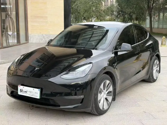 Model Y 2021 Model Standard Battery Life Rear-wheel drive version – фото 10