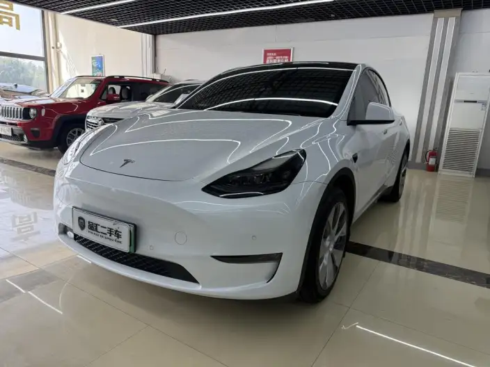Model Y 2022 Model Long Battery Life Pro All-wheel drive version – фото 1