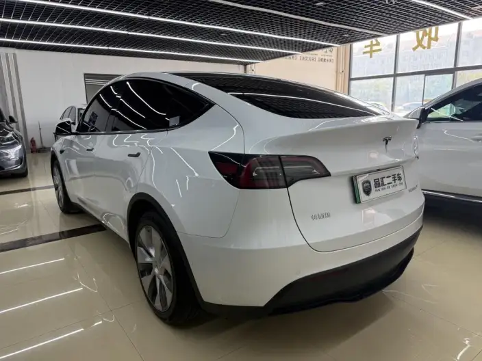 Model Y 2022 Model Long Battery Life Pro All-wheel drive version – фото 4