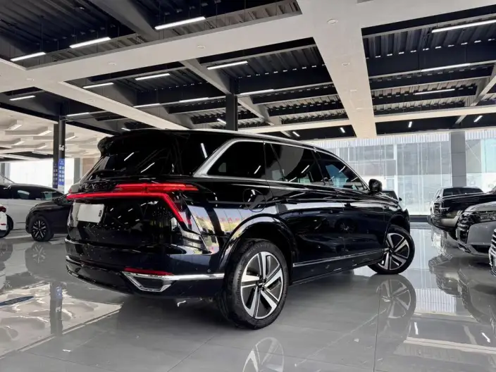 Wey Blue Mountain 2025 Model 4WD Max – фото 6