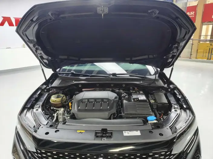 Volkswagen Passat 2022 Model 330TSI Starry sky Elite Edition – фото 10