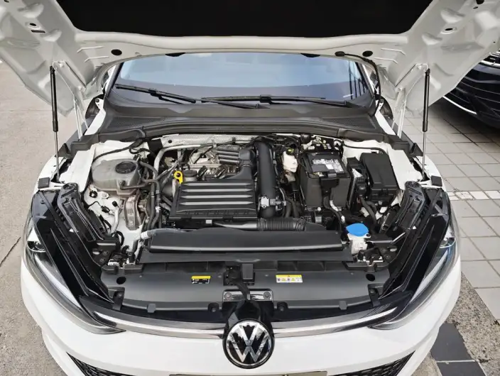 Volkswagen Lamando 2024 Model Volkswagen Lamando L 280TSI DSG Cool spicy version – фото 3