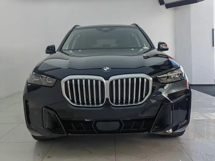 BMW X5 2023 Model xDrive30Li Exclusive Model M Sports Night Set – фото 2