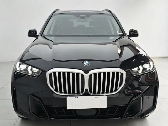 BMW X5 2025 Model xDrive30Li Exclusive Model M Sports Night Set – фото 2