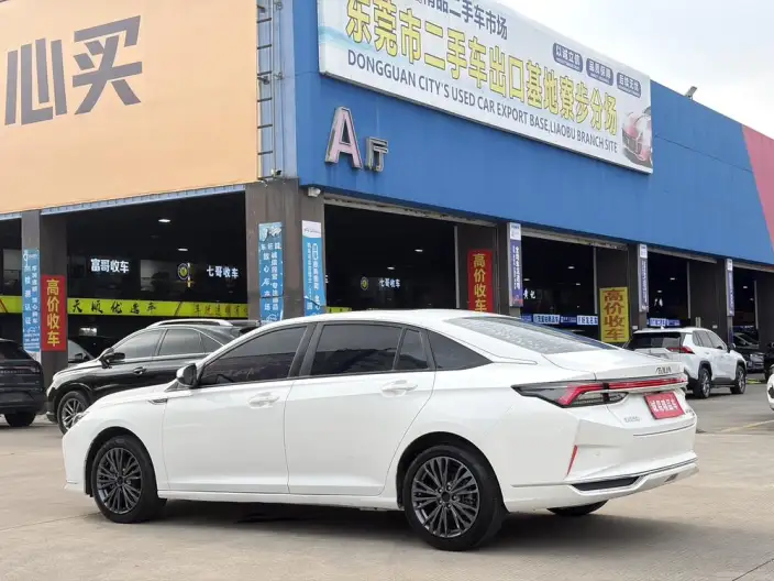 Yixuan Max 2021 Model 1.5T Xingchi Edition – фото 5