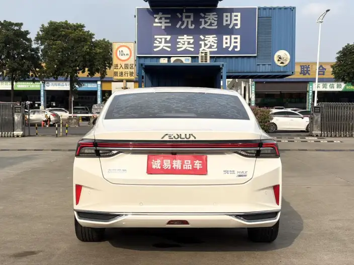 Yixuan Max 2021 Model 1.5T Xingchi Edition – фото 6