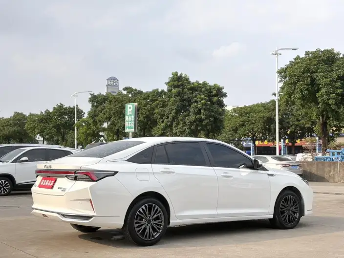 Yixuan Max 2021 Model 1.5T Xingchi Edition – фото 7