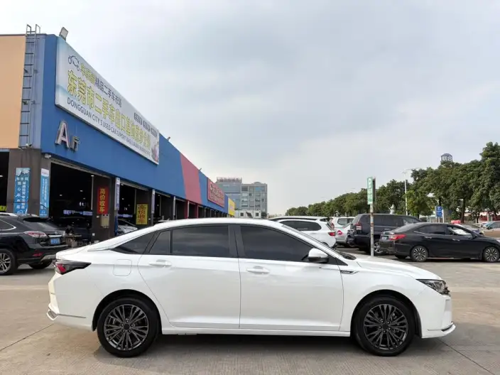 Yixuan Max 2021 Model 1.5T Xingchi Edition – фото 8