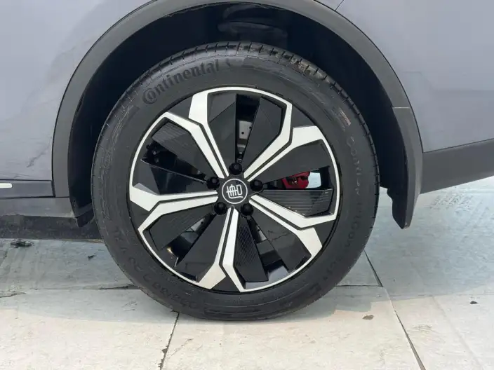 BYD Tang EV 2022 Model 730KM Exclusive Model – фото 9