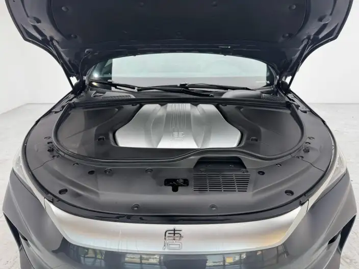 BYD Tang EV 2022 Model 730KM Exclusive Model – фото 10