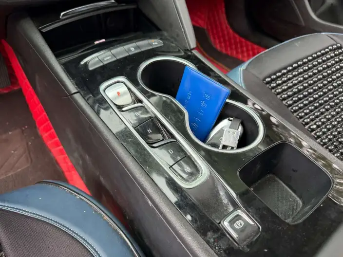 Buick Regal 2024 Model 25T Chao Xiang Edition – фото 10