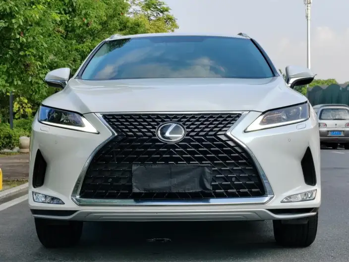 Lexus RX 2020 Model Facelift 300 2WD Elite Edition – фото 2