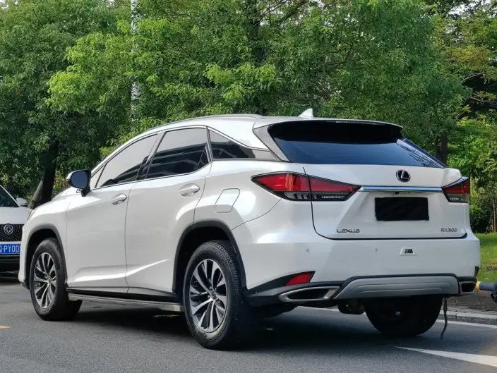 Lexus RX 2020 Model Facelift 300 2WD Elite Edition – фото 5