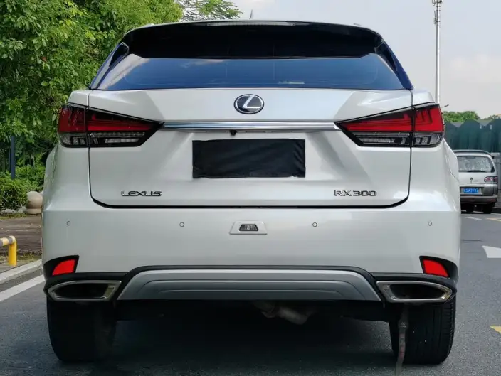 Lexus RX 2020 Model Facelift 300 2WD Elite Edition – фото 6