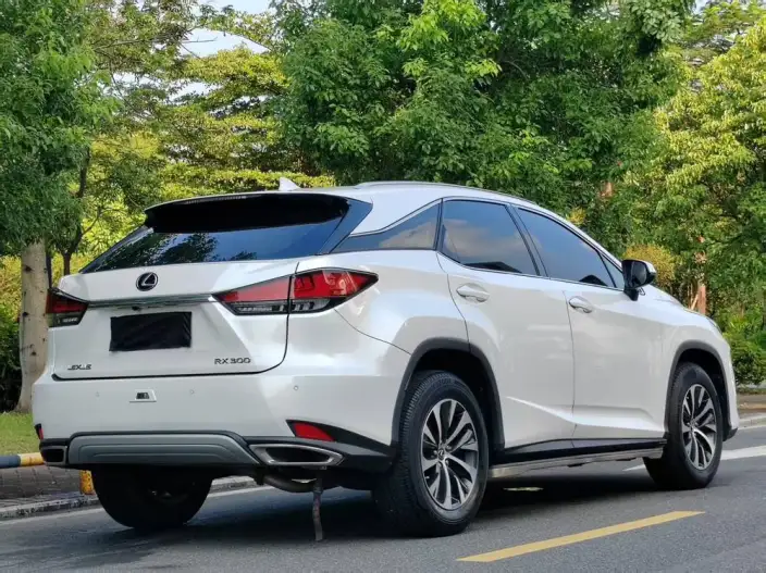 Lexus RX 2020 Model Facelift 300 2WD Elite Edition – фото 7