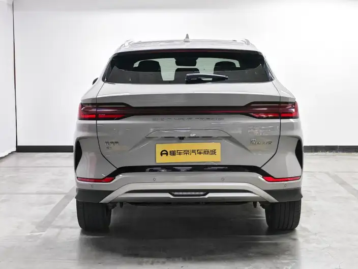 BYD Song PLUS EV 2023 Model Champion Edition 520KM Noble Model – фото 6