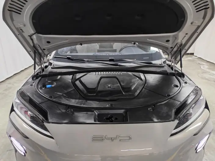 BYD Song PLUS EV 2023 Model Champion Edition 520KM Noble Model – фото 10