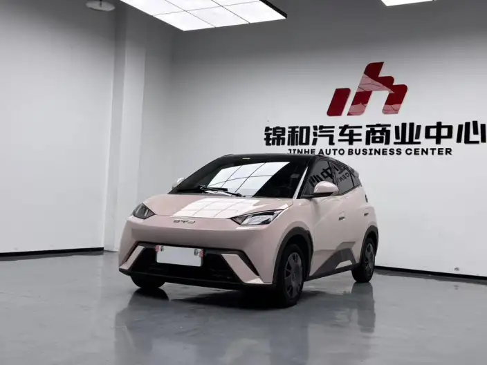 BYD Seagull 2024 Model Honor Edition 305KM Vitality Edition – фото 1