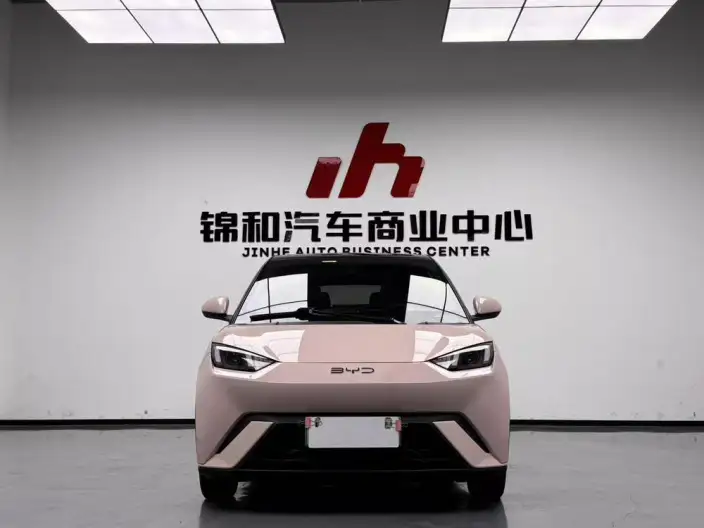 BYD Seagull 2024 Model Honor Edition 305KM Vitality Edition – фото 2
