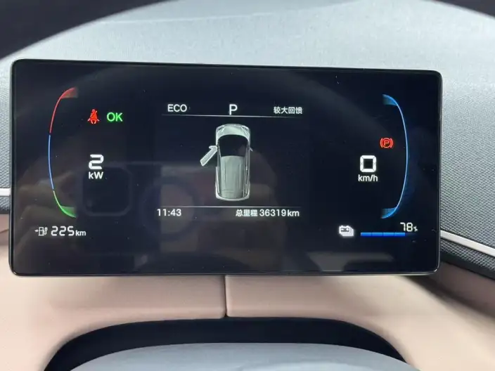 BYD Seagull 2024 Model Honor Edition 305KM Vitality Edition – фото 7