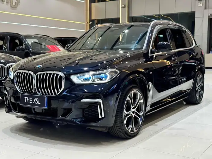BMW X5 2022 Model xDrive 40Li Exclusive Model M Sports Set – фото 1