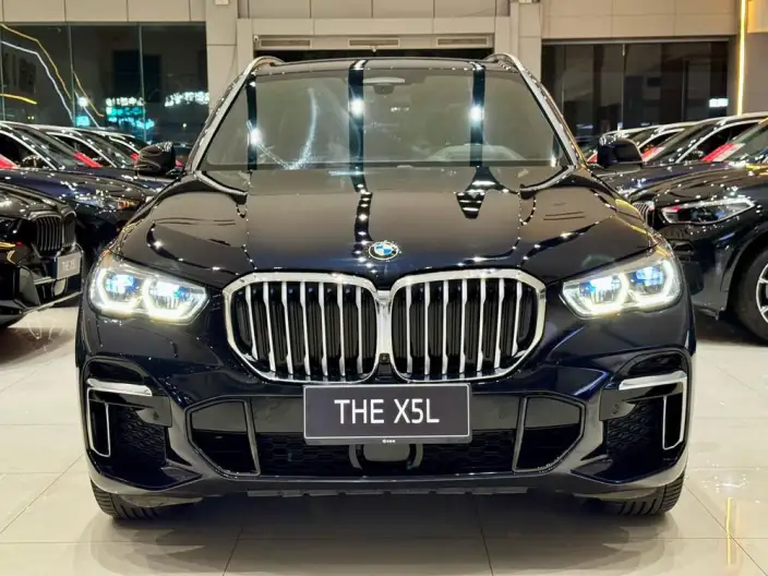 BMW X5 2022 Model xDrive 40Li Exclusive Model M Sports Set – фото 2