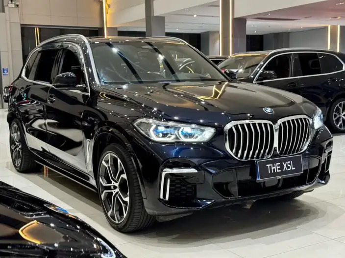 BMW X5 2022 Model xDrive 40Li Exclusive Model M Sports Set – фото 3