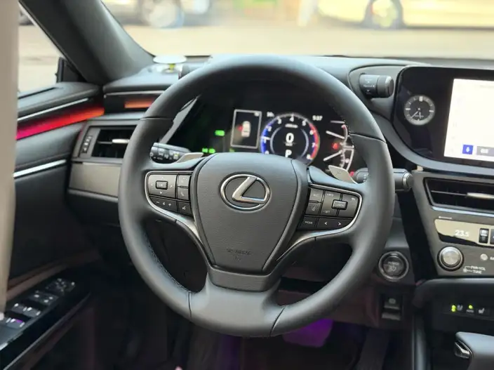 Lexus ES 2022 Model 300h Premium – фото 9