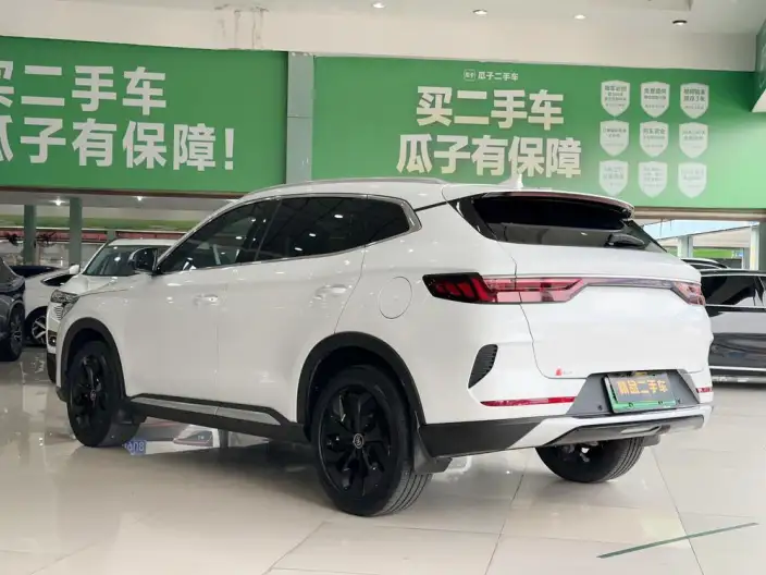 BYD Song PLUS DM 2021 Model DM-i 51KM 2WD Zunrong Model – фото 4